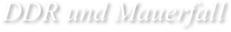 DDR und Mauerfall